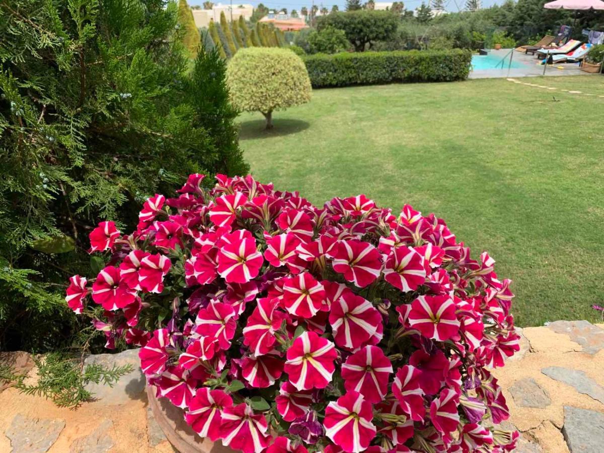 Golden Crest Villa Χερσόνησος Εξωτερικό φωτογραφία